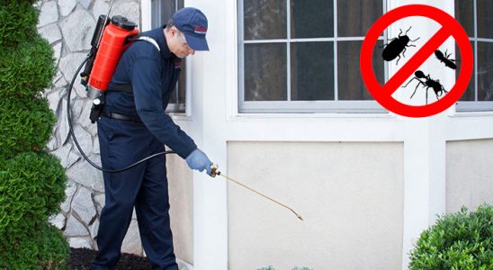 Düzköy Kene İlaçlama böcek ilaçlama ve haşere kontrolü — ilaclama-tr.com
